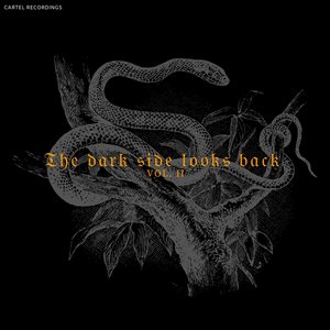 “THE DARK SIDE LOOKS BACK - Vol. II”的封面