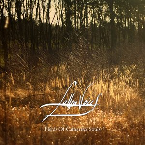 Fields Of Cathartics Souls