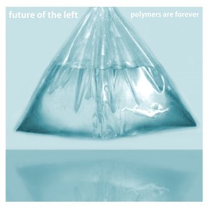 Polymers Are Forever