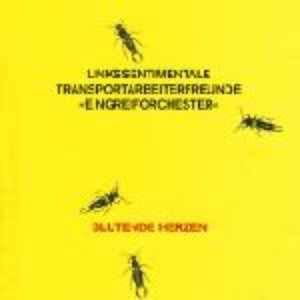 Blutende Herzen