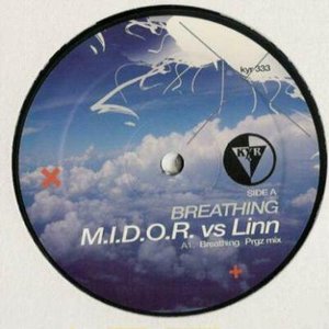 M.I.D.O.R. vs. Linn 的头像
