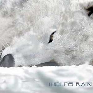 Bild för 'Wolfs Rain'