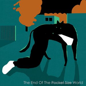 The End of a Pocket Size World