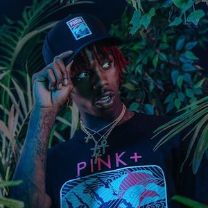 Famous Dex için avatar