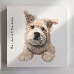 Something What I Want - Single