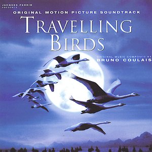 Travelling Birds