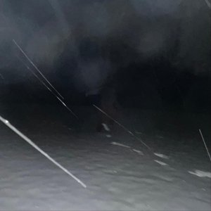 Character Ship of Theseus