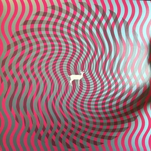 Cryptograms / Fluorescent Grey
