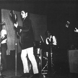 Moon Song 13th Floor Elevators Last Fm