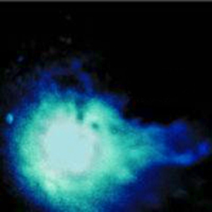 Species Being photo provided by Last.fm