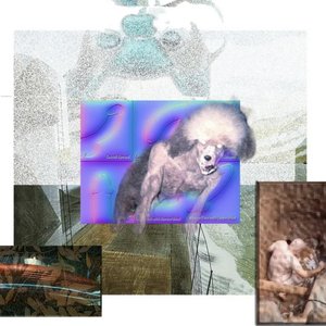 Johnny Falloon - EP