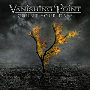 Artwork for Count Your Days