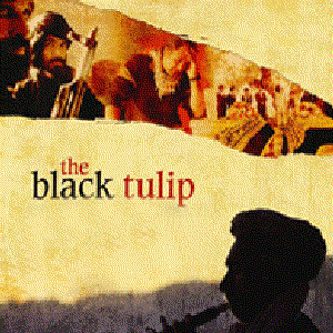 The Black Tulip
