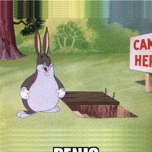 Avatar for dj chungus