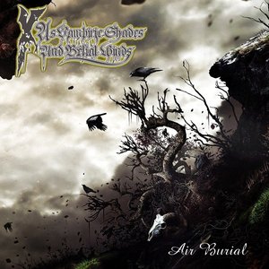 Air Burial