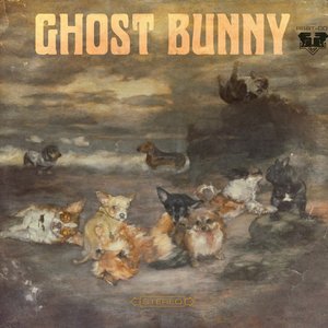 Ghost Bunny