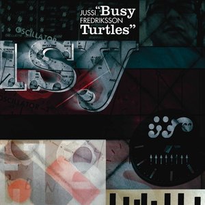 Busy Turtles