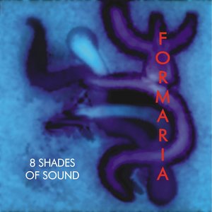 Formaria 的头像