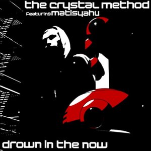 Drown In the Now (feat. Matisyahu) - Single