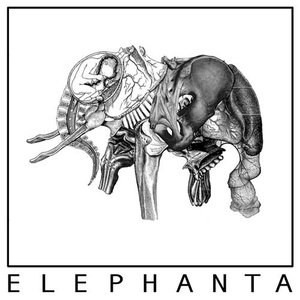 elephanta 的头像