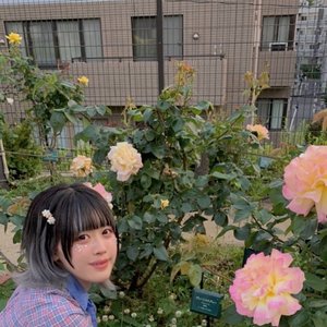Hibiki Nakamichi 的头像