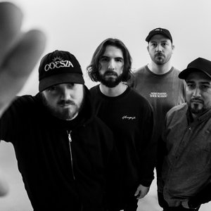 Avatar for Silent Vice