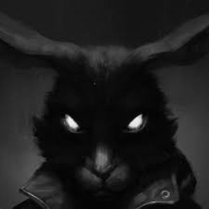 TINY BUNNY 的头像