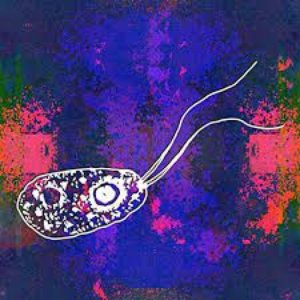 Brain Eating Amoeba