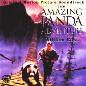 The Amazing Panda Adventure