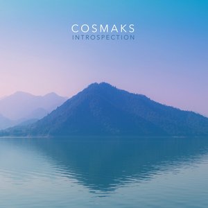 Introspection - Single