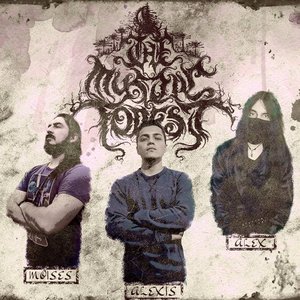 Avatar for The Mystic Forest