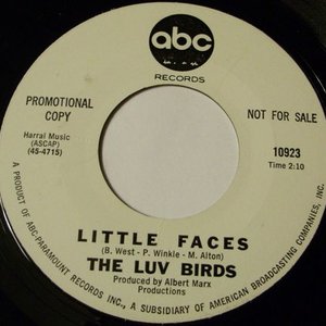 The Luv Birds 的头像