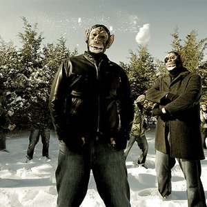 Gorilla Warfare 的头像