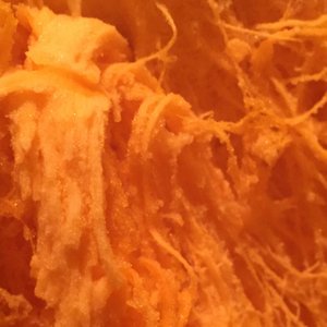 Crudforms, Vol. 2