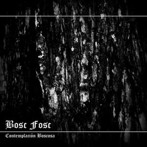 Contemplación Boscosa