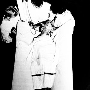 Avatar for Piss Junkie