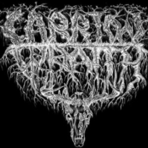 Carrion Wraith 的头像