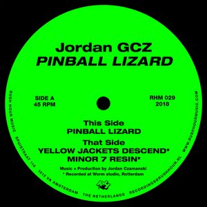 Pinball Lizard