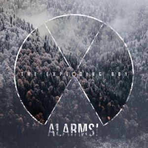“Alarms!”的封面
