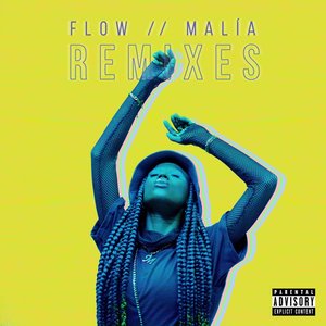 FLOW (Remixes)