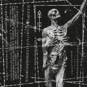 Manipulator