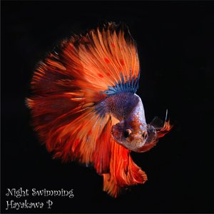 Night Swimming