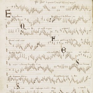 Johannes de Quadris 的头像