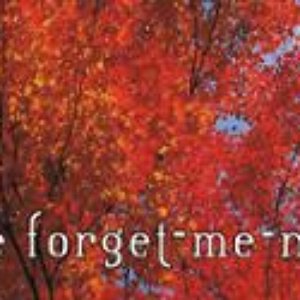 the forget-me-not 的头像
