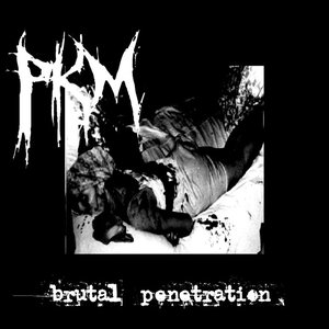 Brutal Penetration