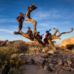 Avatar för Tournée Des Refuges