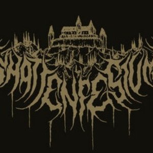 Schattenfestung 的头像