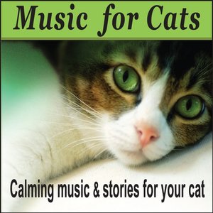 Music For Cats:  Cat Music, Music For Kittens - Pet Music