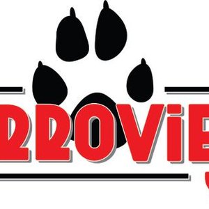 Perroviejo! 的头像