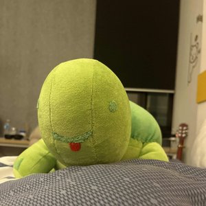 silly songs